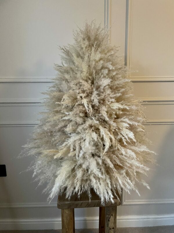 Pampas tree large christmas 1