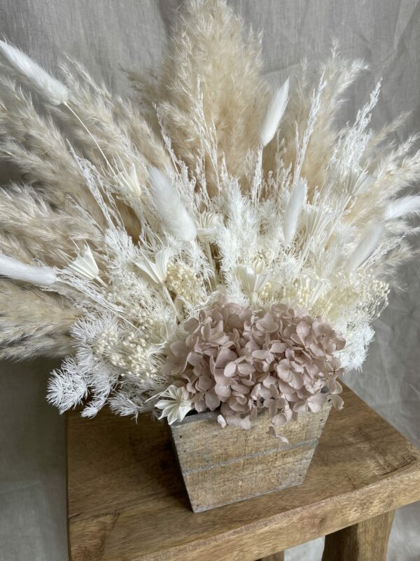 a pampas life blush pampas pot 1