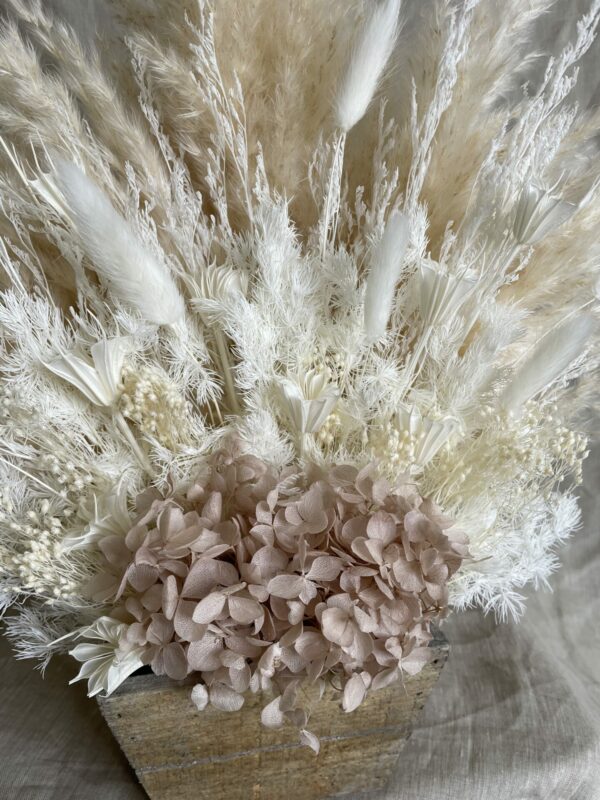 a pampas life blush pampas pot 2