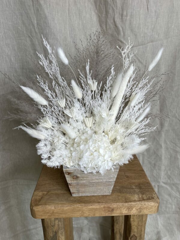 a pampas life luna grey pampas pot 1