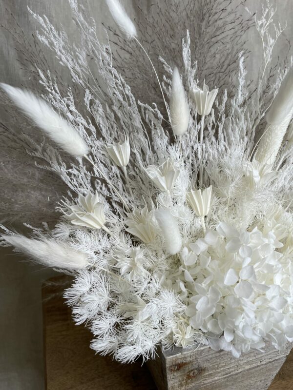 a pampas life luna grey pampas pot 2