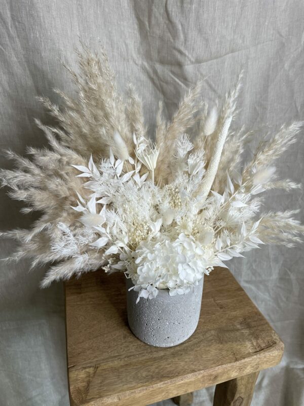 a pampas life neutral pampas pot 1