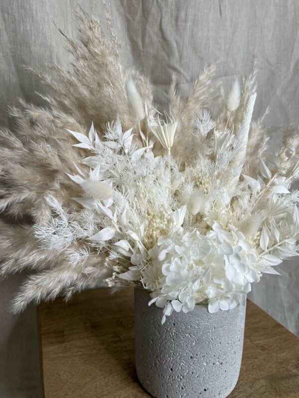 a pampas life neutral pampas pot 2