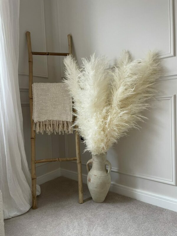 apampaslife white pampas 1