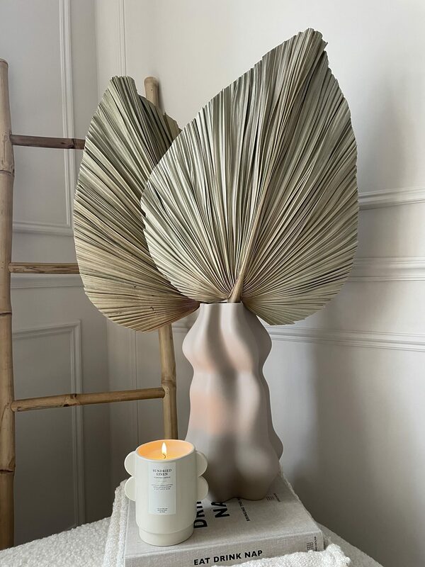 driednaturalpalm 2