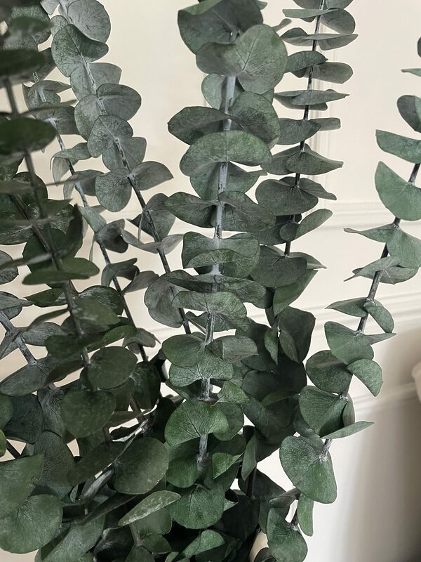 greenpreserved eucaluptus 2