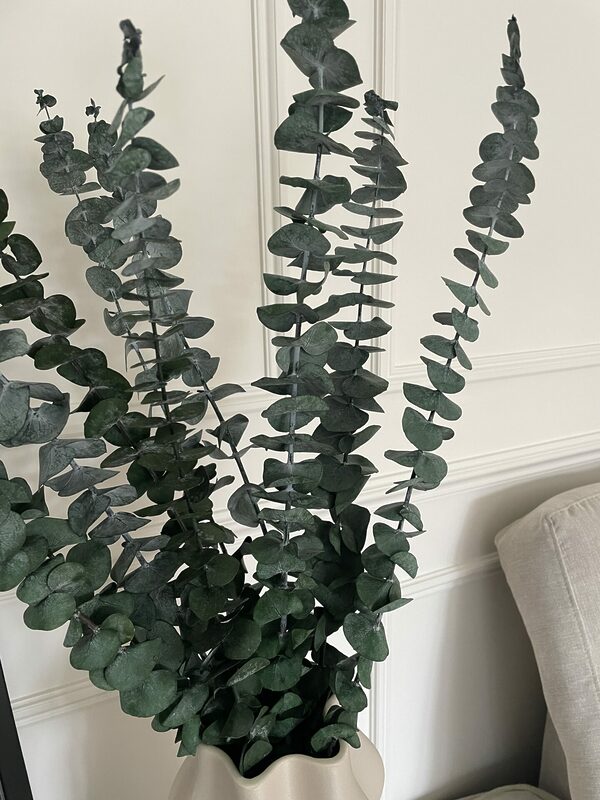 greenpreserved eucaluptus 3