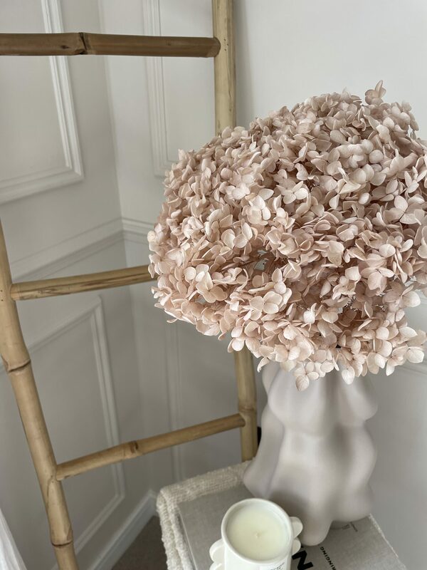 nudepreservedhydrangea 1