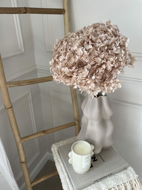 nudepreservedhydrangea 2