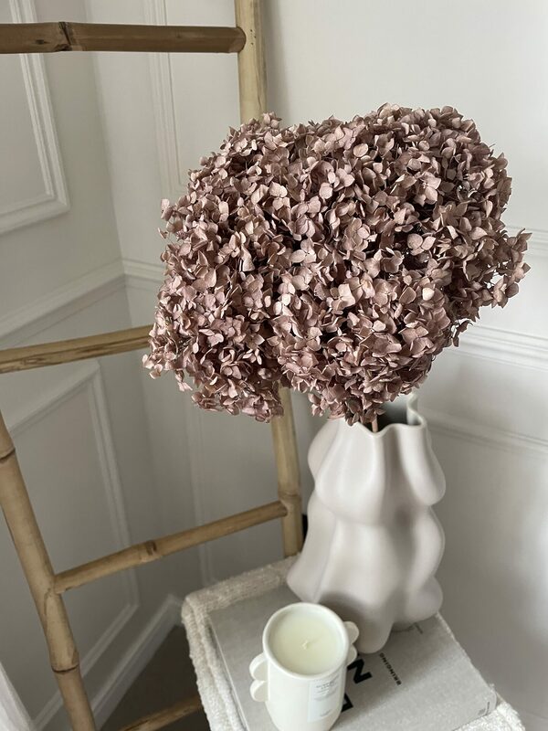 toffeepreservedhydrangea 2