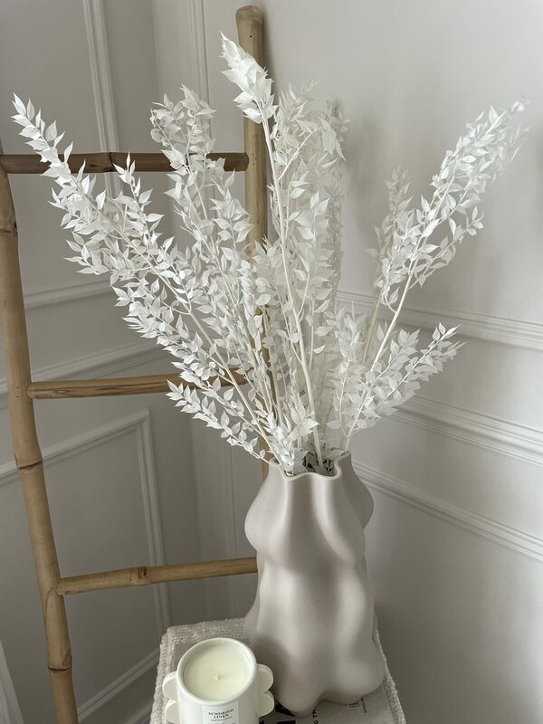 whitedriedruscus 2