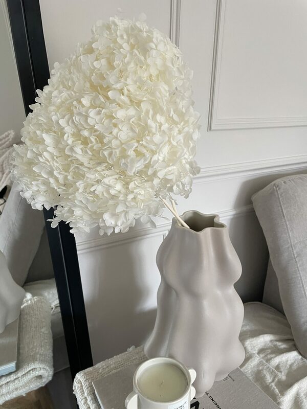 whitepreservedhydrangea 3